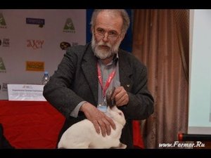 Милош Супука - Главный эксперт Словакии. Оценка кроликов по европейским стандартам