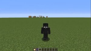 Мод на Остановку времени(Jotoro) на 1.12.2