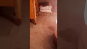 Запуск отопления с дровяным котлом и теплоаккумулятором (часть 1)