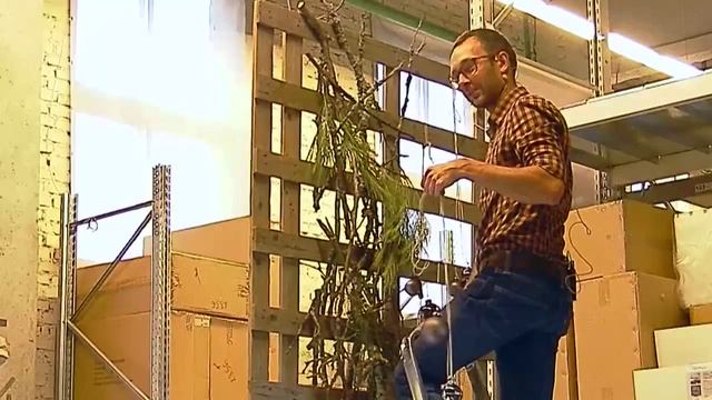 7ЦВЕТОВ-Декор мастер-класс «Новогоднее оформление 2016: тренды и коммерческие решения» (11)