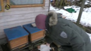 Пчеловодство Германии / В гостях у IMKER DE