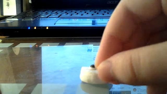 Котик из полимерной глины