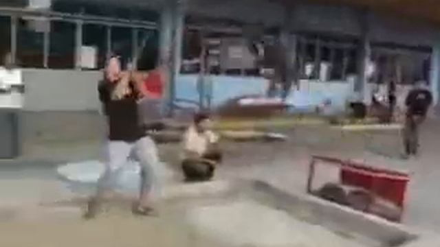 Пит буль  Лучшая спортивная собака