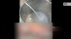 Центрифуга трубчатая GQ разделение хлореллы