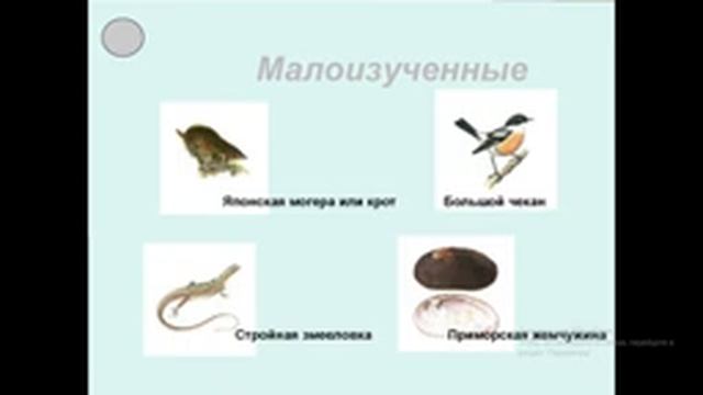 Экоурок. Глухонец Т. П.«Красная книга РК»
