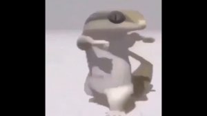 Ящерица танцует 1 час под разную музыку
