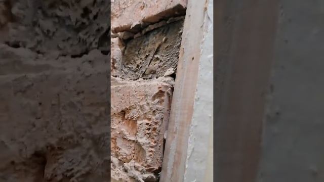 Начинаем ремонт в ванной комнате ( день 1). смотреть онлайн