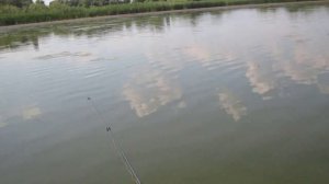 Залив Днепра Запорожская область