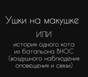 Ушки на макушке или история одного кота из батальона ВНОС