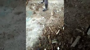 бомбочка из серы спичек :-)