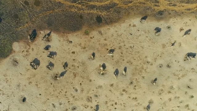 Что Видно на Земле из Космоса смотреть онлайн