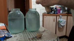 технопланктон и зоопланктон