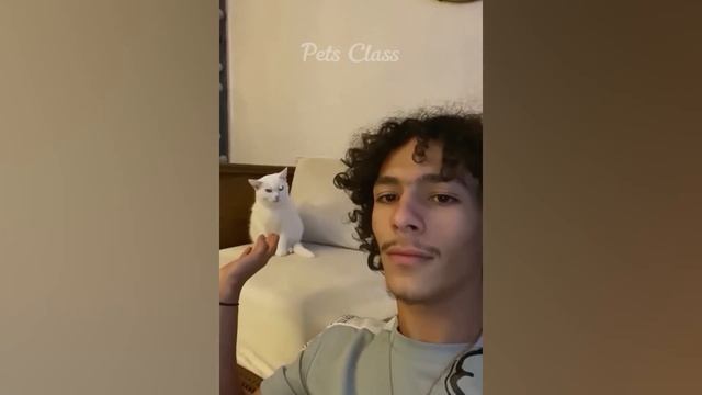 Funniest Animals ?? Hilarious Cats and Dogs 2023 ? Part 38 смотреть онлайн