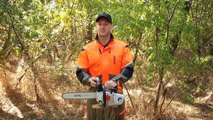 Обзор бензопилы STIHL MS 201TC