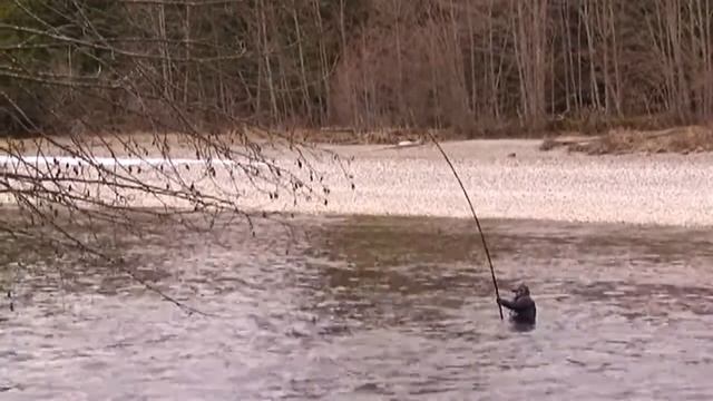 Ловля лосося маховым удилищем по-японски!... смотреть онлайн