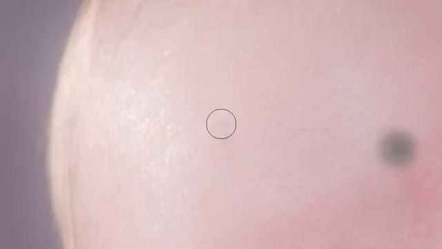 Removing Blemishes from a photograph using Adobe Photoshop CS Extend смотреть онлайн