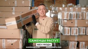 Скидки до -80% на саженцы высшего сорта