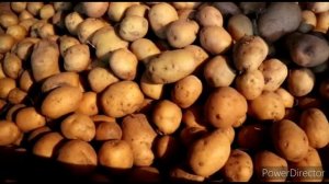 Ով Աշխատի Նա Կուտի -Заготовки  В Подвале-Как Встречают Зиму В Шамшадине-Շամշադինի Համը