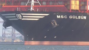 MSC GULSUN - New world's largest containership departing the port of felixstowe 7/9/19