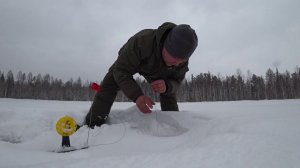 ДВЕ НОЧИ В ТАЙГЕ В ПАЛАТКАХ !!! ЩУКА НА ЖЕРЛИЦЫ !!!! ЗАСНЕЖЕННАЯ СИБИРЬ !!!