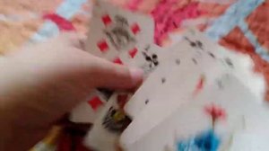 фокус,мухливание в игре дурака