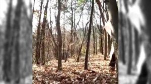 +100500 Человек банан Эксклюзивный 100500 Макс ПЛЮС 100 500 ПЛЮС 100 500