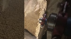 Видео работы работы экструдера с насадкой Гранулятор