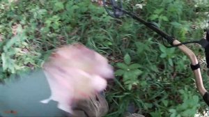 #218 Поиск монет с Fisher F75