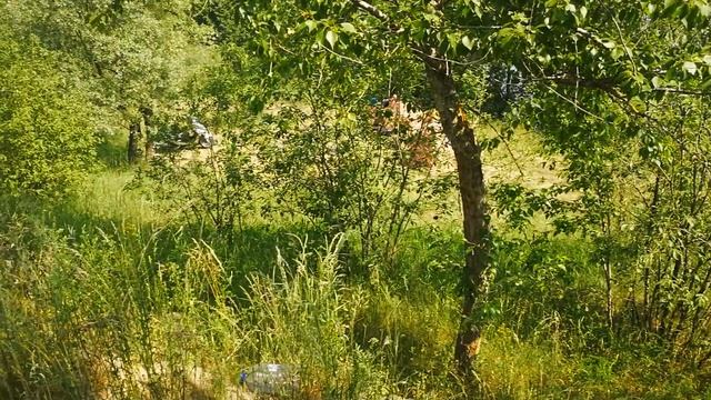 Серпуховский карьер место купания смотреть онлайн