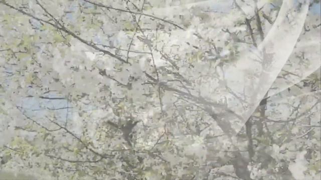 Надежда-творчество-Прошло так много лет-исп.Анатолий Чубарь смотреть онлайн