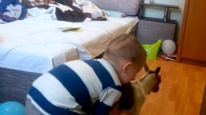 КОЗЬЯ ФЕРМА: НУБИЙСКИЕ АЛЬПИЙСКИЕ ЗААНЕНСКИЕ КОЗЫ! Начало нашего хозяйства!!24 березня 2020 р.