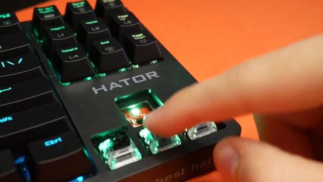 ЛУЧШАЯ ОПТИЧЕСКАЯ КЛАВИАТУРА за 5000 РУБЛЕЙ | Обзор Hator Rockfall EVO TKL