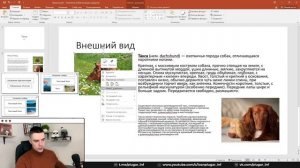 Разбор 13.1 задания | ОГЭ по информатике 2023