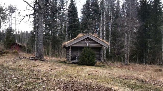 ДЕРЕВНЯ ВИКИНГОВ / VIKING VILLAGE 🏕