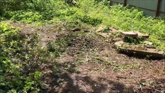 Расчистка участка с помощью дробилки веток