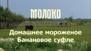 Домашнее мороженое. Банановое суфле | проект «Молоко»