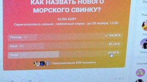 ОЧЕНЬ ГРУСТНАЯ НОВОСТЬ / ЯПОНСКАЯ МЫШКА АЛИСА / МОРСКИЕ СВИНКИ / Alisa Easy Pets