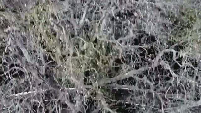 Ялта-21. 9 серия. Платан смотреть онлайн