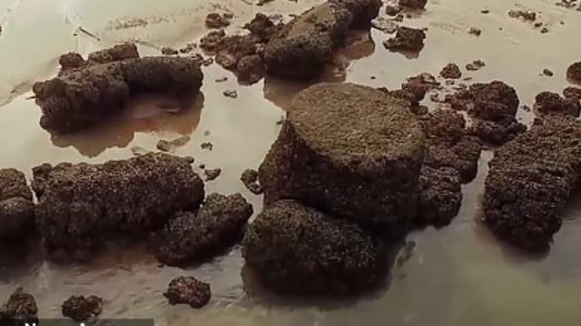 АТЛАНТИДА НАКОНЕЦ НАШЛАСЬ?