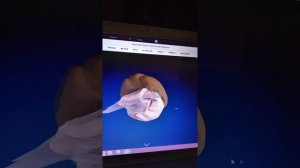 играем в игру david li