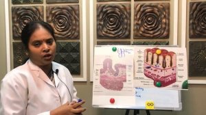 HISTOLOGY OF LARGE INTESTINE IN TAMIL/ENGLISH - GIT CLASS 5