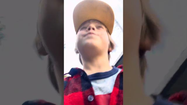 Добрые и хорошие котики! смотреть онлайн