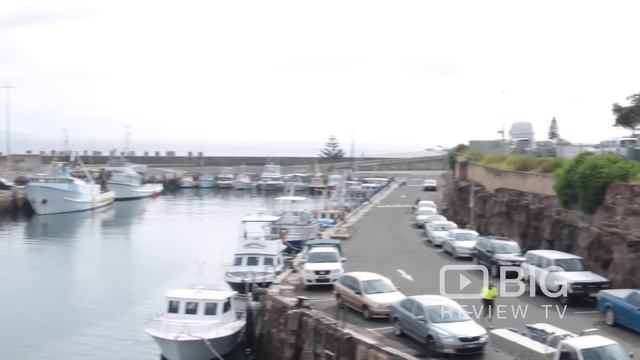 Restaurant | NSW | Bombora Seafood | 2500 | Big Review TV | Platinum