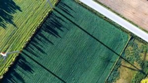 Бир Тавиль Королевство Северный Судан или Королевство Средиземье