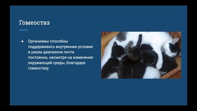 1.1 Свойства живых организмов и Биологическая организация