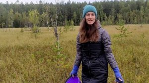 #35 Собираю клюкву на болоте! Как собирать клюкву и ВЫЙТИ ИЗ БОЛОТА СУХИМ. Что делаю из клюквы.