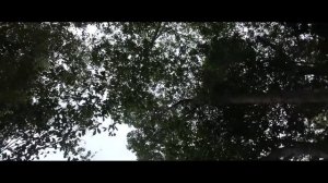 Paradisus Rio de Oro Resort and Spa Cuba [JONANG FILMS] Episode (10)