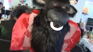 Стриптиз заказывали!!! Получайте!!! www.show-vip.ru