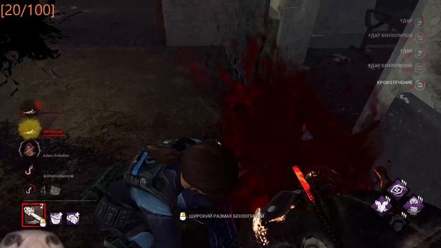 ЭТО РЕВИЛ? / NightFuryo3o