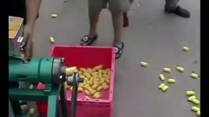 Бизнес идея в гараже  Кукурузные палочки своими руками.